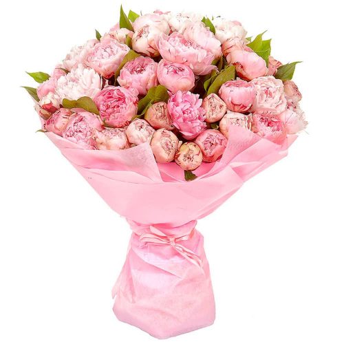 Монобукет пионов «Розовая мечта»