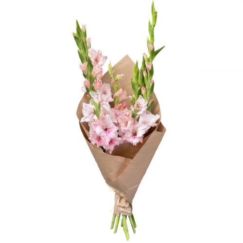 Монобукет «Гладиолус»