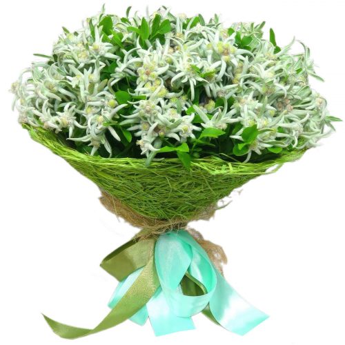 Монобукет «Эдельвейс»