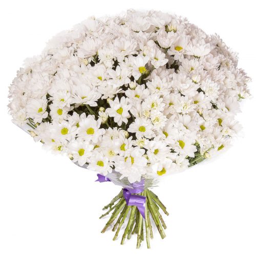 Монобукет «Ночная Серенада»